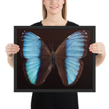Tableau  Deco Papillon Géant