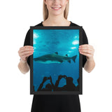 Tableau Requin Emprisonné Aquarium