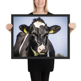 Tableau Tête de Vache noir
