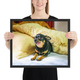 Tableau Chihuahua Gros Yeux