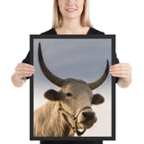 Tableau Tête de Taureau en zoom