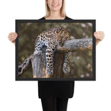 Tableau Jaguar (L'Oeil Mis-Clos)