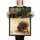 Tableau Eléphant d'Afrique Elephanto