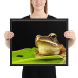Tableau de Grenouille sur une Feuille