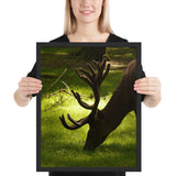 Tableau Tête de Cerf Mangeant