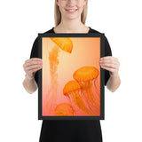 Tableau Animaux de Méduse Orange