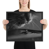 Tableau chat noir et blanc boit de l'eau