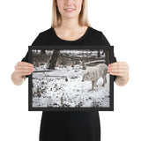 Tableau Loup Blanc déco