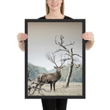 Tableau Caribou Fier