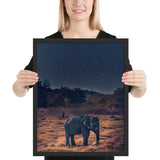 Tableau Eléphant de Nuit