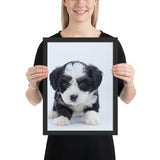 Tableau Chiot avec des Taches et Poilus