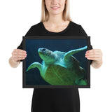 Tableau Déco Tortue Géante