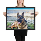 Tableau  Berger Allemand Adulte (Langue Pendue)