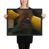 Tableau Chauve-Souris Tête Comique