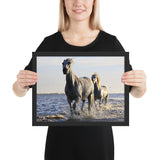 Tableau Animaux Chevaux Galop