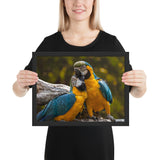 Tableau Perroquet Jaune et Bleu Le Couple