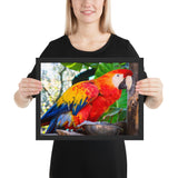 Tableau avec Perroquet Flamboyant Rouge