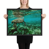 Tableau Tortue de Mer