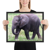 Tableau Elephant Noir Marchant