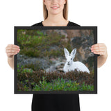 Tableau Lapin Courant aux Grandes Oreilles