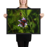 Tableau Ailes de Papillons Noir et Rouge