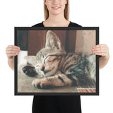 Tableau Chaton Endormi Yeux Fermés