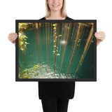Tableau tropical liane qui descende vers l"eau