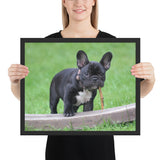 Tableau  Bulldog Noir Jouant