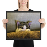 Tableau Chaton se Cachant