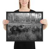 Tableau Taureau suisse Noir et Blanc