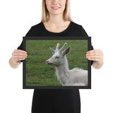 Tableau Rennes Blanc Albinos