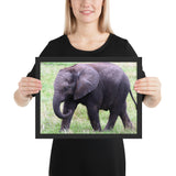 Tableau Elephant se Baladant