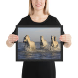 Tableau Chevaux Camarguais de France