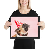 Chien Habillé pour la Fiesta