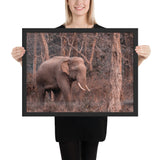 Tableau Eléphant d'Afrique