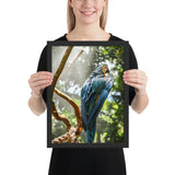 Tableau Animaux Perroquet Coloré Chic