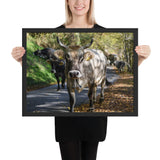 Tableau Moderne avec un Taureau
