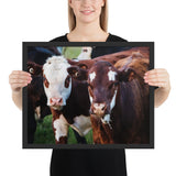 Tableau Déco avec des Vaches Marrons