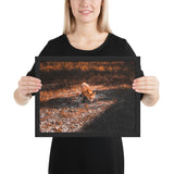 Tableau Animaux Renard Moderne