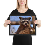 Tableau Raton Laveur le Comique