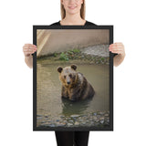 Tableau Ours Brun Montagne