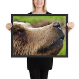 Tableau Ours en Zoom