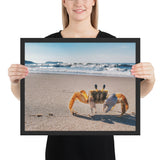 Tableau Crabe Orange sur le Sable
