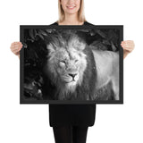 Tableau Lion Noir et Blanc Fort