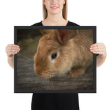 Tableau Lapin Sentant