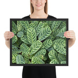Tableau tropical verdoyant et ensoleillé