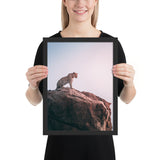 Tableau Panthère Musclé