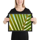 Tableau tropical feuille macro design