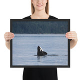 Tableau Orque Solitaire en Mer