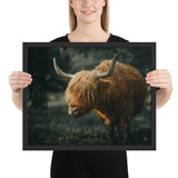 Tableau Moderne Vache Highland